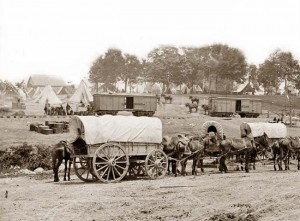 Pulling-Horses-Wagons