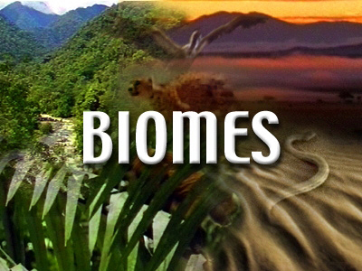Jr. PreK – Biomes & Ecosystems