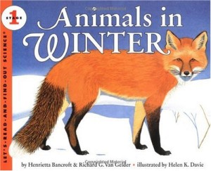 animals-of-the-winter