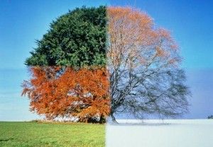season-change