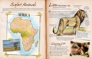 Field-Guide-to-Animals-of-the-World