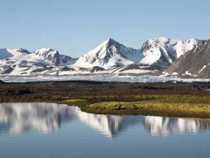 tundra_biome